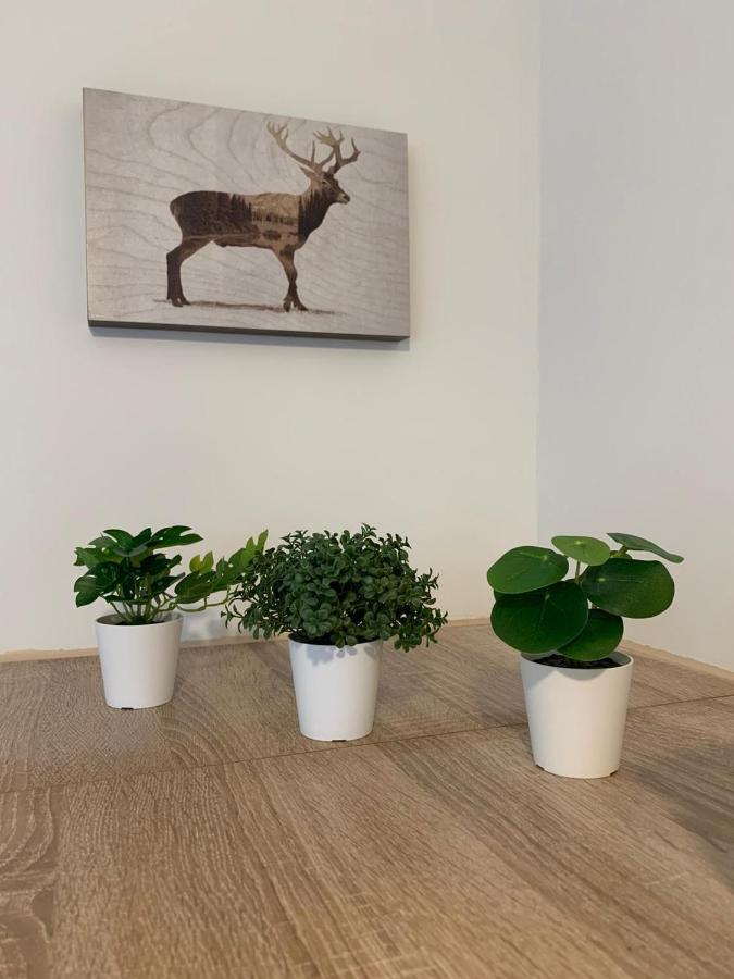 Koblenz City Rooms, Wifi, Netflix Buitenkant foto